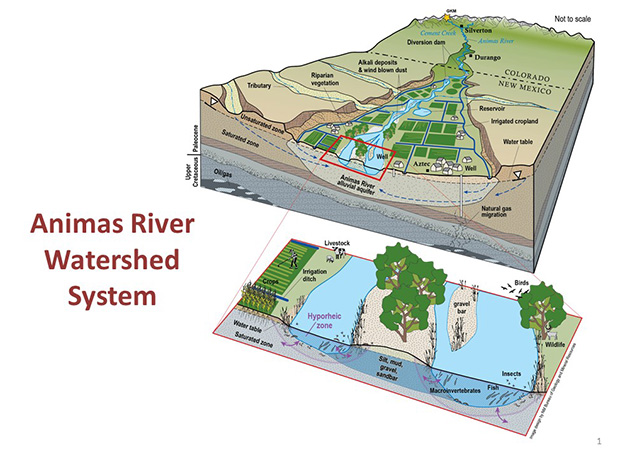 Animas River Watershed System