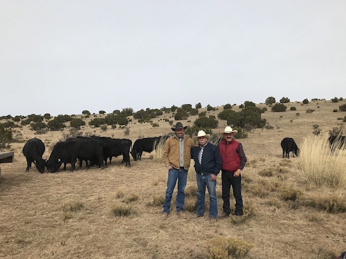 2017 cattle buyers