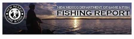 nm g and f fishing logo