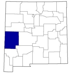 usda map of catron county 2024 small