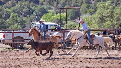 GlenRodeo