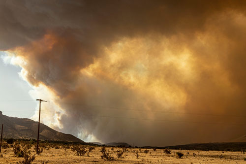 7 trout fire 3810