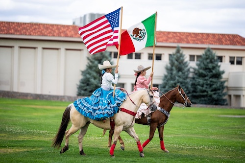 FiestaHorses