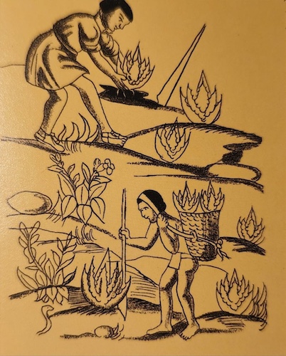 FlorentineCodex