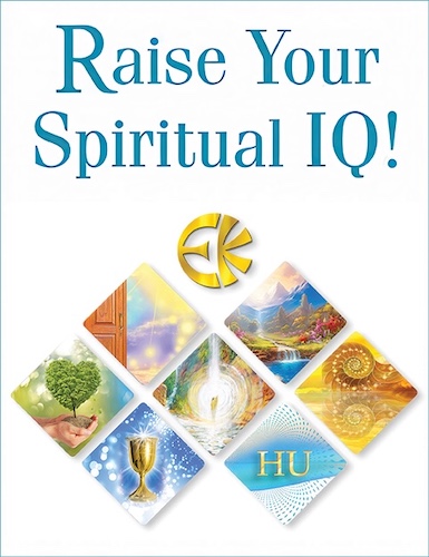 IQ Logo