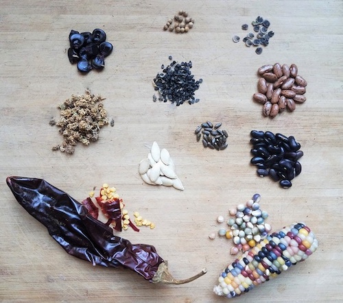 Seedboard
