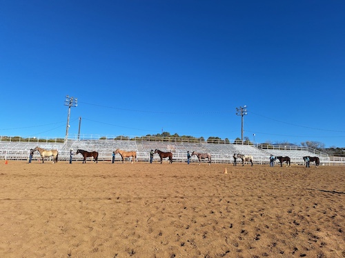 SWHorseArena