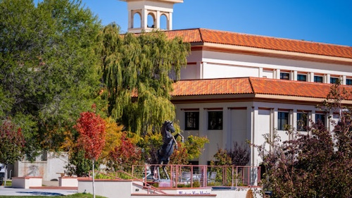 WNMU Horse
