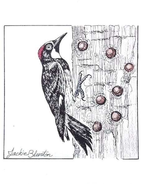 img 20251230 090436401 hdr