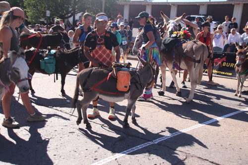 img_1221.jpg