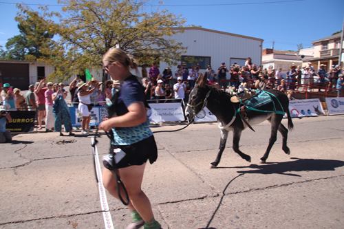 img_1254.jpg