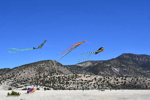 Kites1