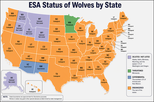 StatusWolves