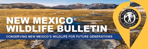 e blast banner 031126