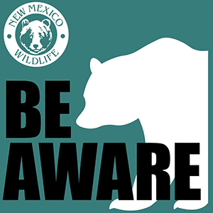 Be Bear-Aware