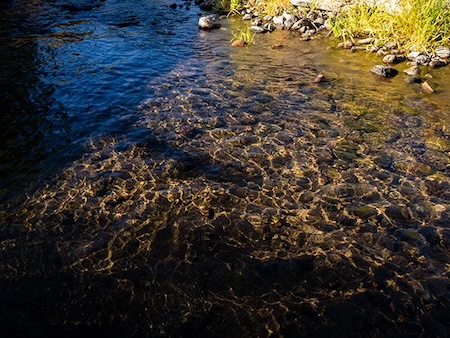 southwest gila river.jpg copy