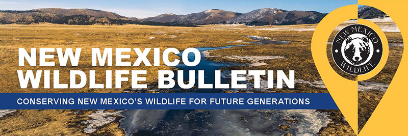 New Mexico Wildlife Bulletin