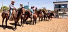 4HRodeo