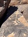 Petroglyph