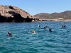 Snorkelers