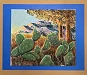 cactus land